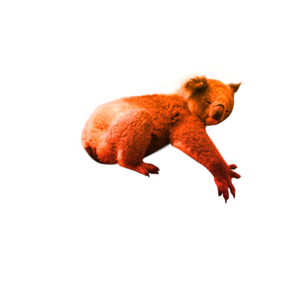 About love