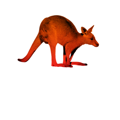 Motion